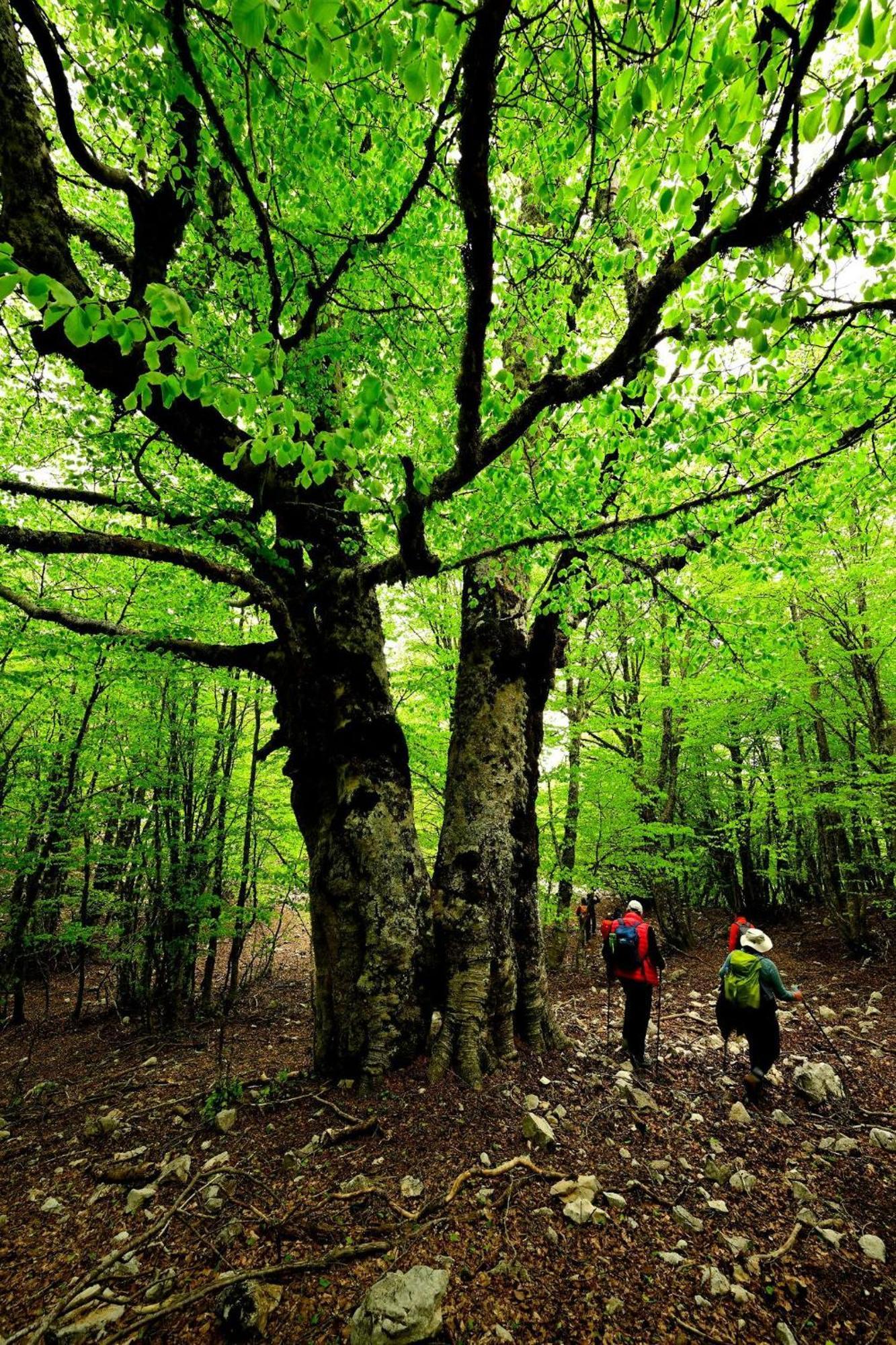 Вилла Mandra Chiusilla Collesano Экстерьер фото